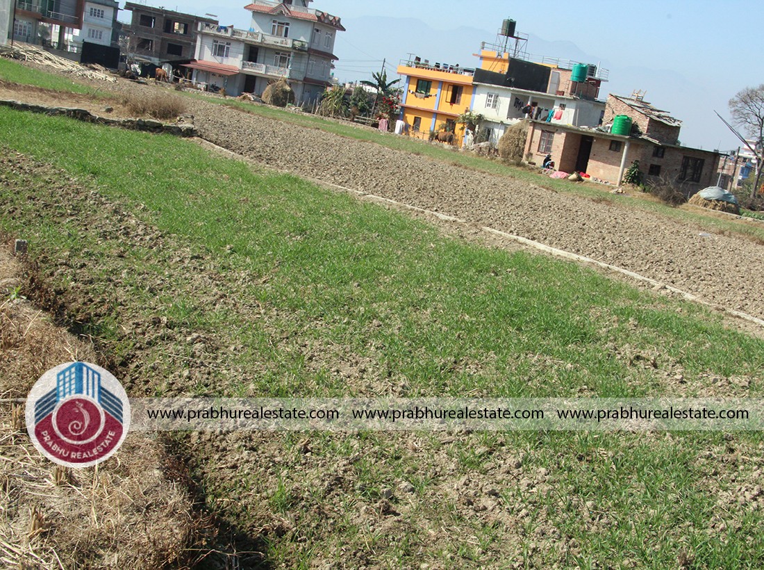 Land at Balkot - Biruwa Bus Park,