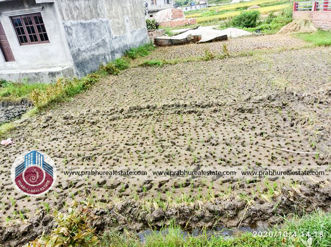 Land at Barmakhel,Near to Ram Mandir