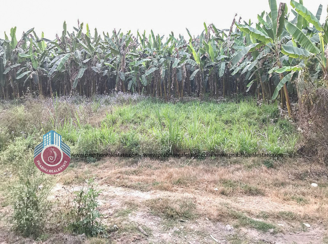 Land for sale in Chitwan & Biratnagar