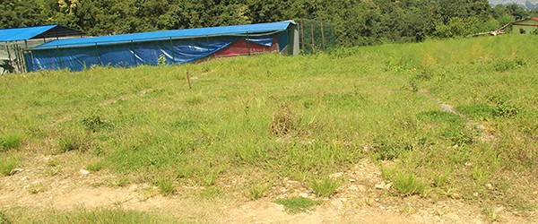 Land at Sipadol, Suryabinayak