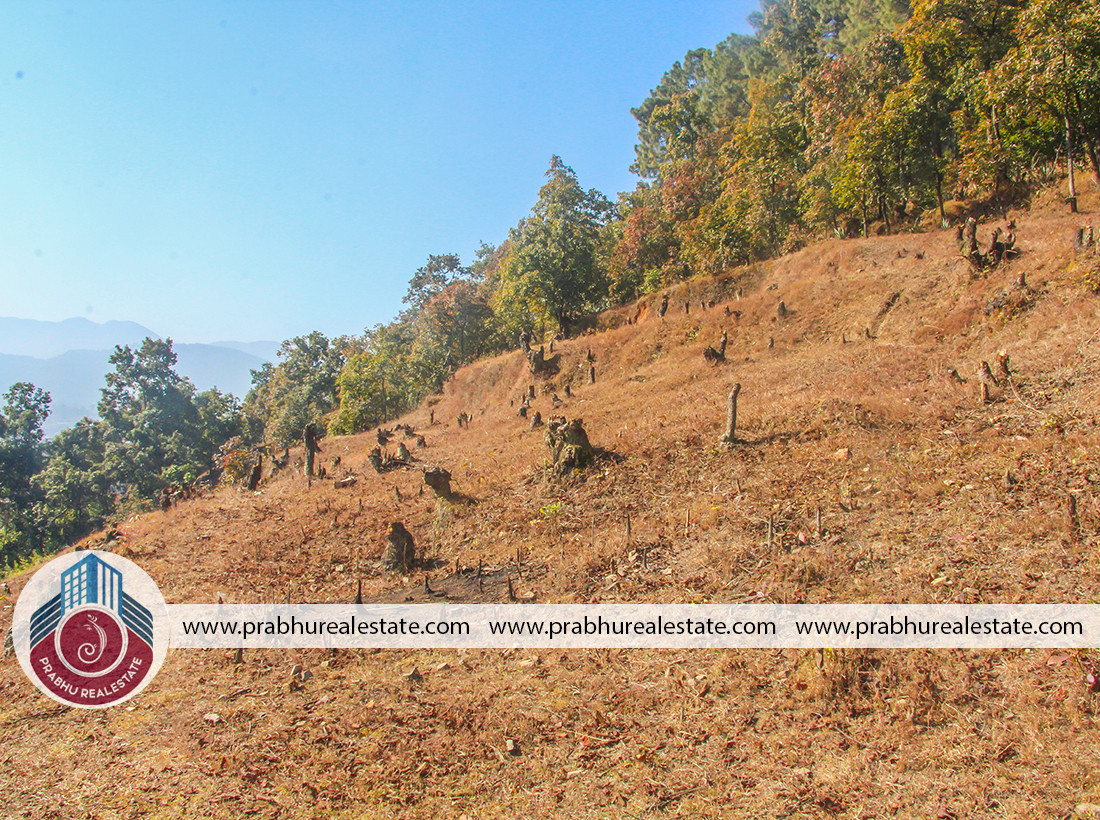 Plotted land For Sale at Godawari Near Santaneshwor Mahadev